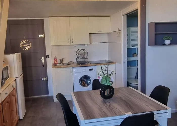 Front De Mer, Clim, Vue Magnifique, Appt 5 Couchages, Secteur Lydia Grande Le Barcarès