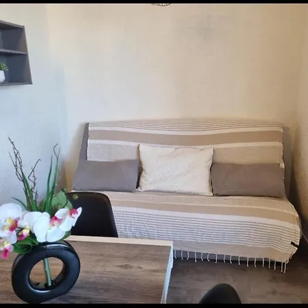 Apartment Vue Magnifique, Appt 5 Couchages, Clim, Secteur Lydia Grande